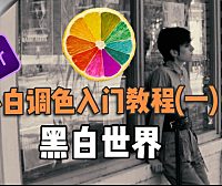 【PR进阶】小白调色入门（1）—— 黑白世界