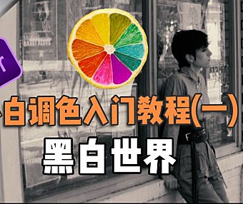 【PR进阶】小白调色入门（1）—— 黑白世界