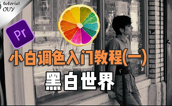 【PR进阶】小白调色入门（1）—— 黑白世界