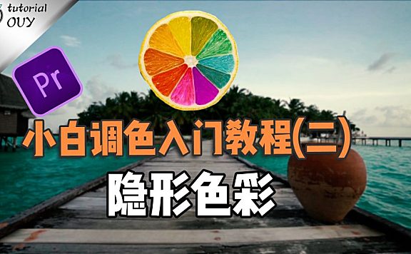 【PR进阶】小白调色入门（2）—— 隐形色彩