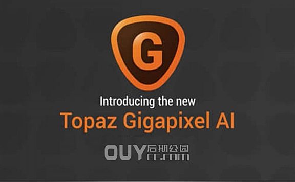 图片放大修复软件 Topaz Gigapixel AI 5.5.1 Win