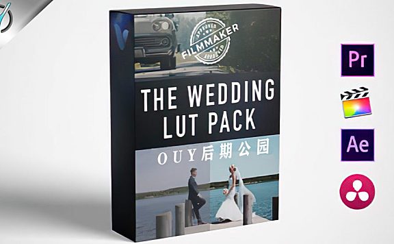 13个浪漫爱情婚礼LUTS调色预设(FCPX/PR/PS/AE/达芬奇/OFX) Wedding LUT Pack
