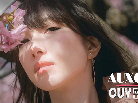油管大神AUXOUT-16个HLG调色预设LUT