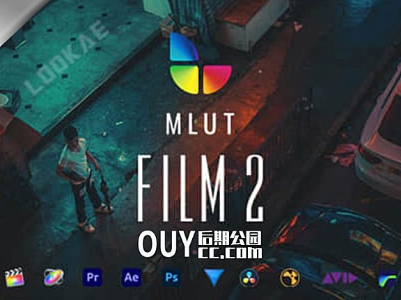 30种精美电影风LUTS调色预设-MLUT Film 2