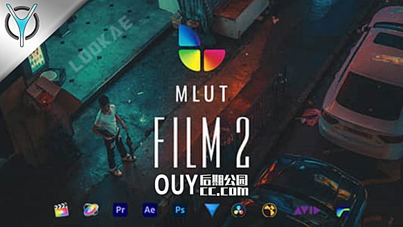 30种精美电影风LUTS调色预设-MLUT Film 2