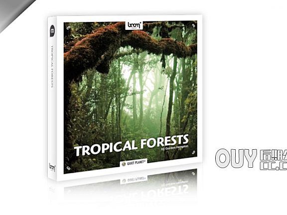 153个热带雨林虫鸣鸟叫自然森林环境音效 Tropical Forests