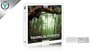 153个热带雨林虫鸣鸟叫自然森林环境音效 Tropical Forests