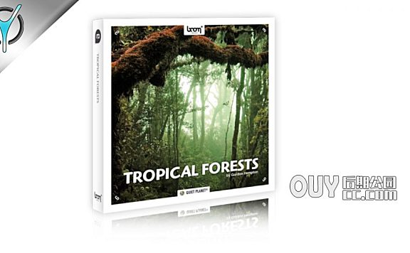 153个热带雨林虫鸣鸟叫自然森林环境音效 Tropical Forests